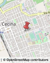 Via Salerno, 9,57023Cecina