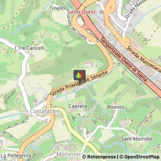 Agenzie ed Uffici Commerciali,53100Siena