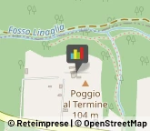 Alberghi,56040Pisa