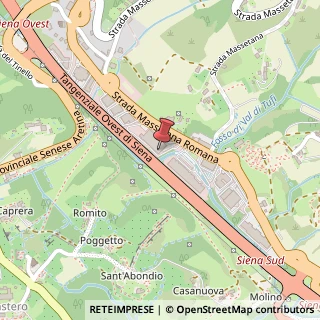 Mappa Strada Massetana Romana, 50, 53100 Siena, Siena (Toscana)