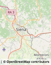 Trasportatori Meccanici Asciano,53041Siena