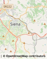 Trasportatori Meccanici Castelnuovo Berardenga,53019Siena