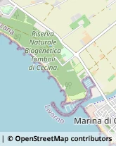 Viale della Vittoria, 58,57023Cecina