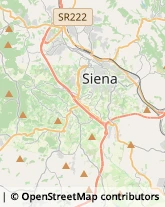 Autotrasporti Siena,53100Siena