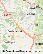 Autotrasporti Siena,53100Siena