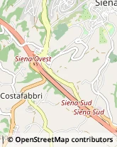 Autotrasporti Siena,53100Siena