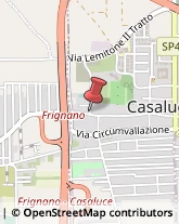 Via F. Comella, 12,81030Casaluce