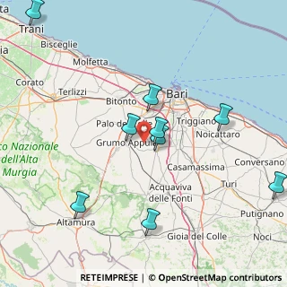 Mappa Contrada Poggio vivo, 70020 Bitetto BA, Italia (28.96308)