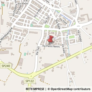 Mappa Via Pietro Nenni, 11, 70018 Rutigliano BA, Italia, 70018 Rutigliano, Bari (Puglia)