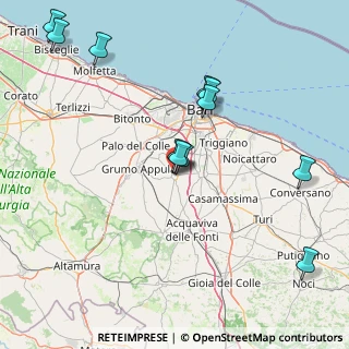 Mappa Via Municipio, 70028 Sannicandro di Bari BA, Italia (18.88455)
