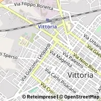 Kart Vittoria