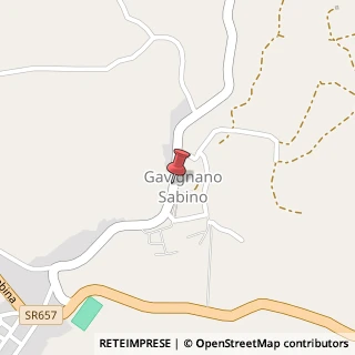 Mappa Via Poggio Mirteto, 02044 Forano, Rieti (Lazio)