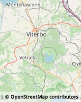 Istituti di Bellezza Viterbo,01100Viterbo