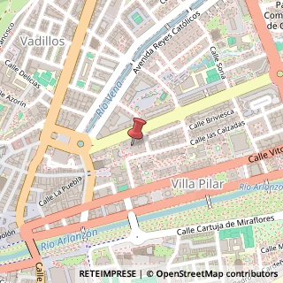 Mappa Avenida de la Paz, 6, 09004 Verdello, Bergamo (Lombardia)