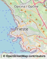 Case di Riposo e Istituti di Ricovero per Anziani Trieste,34121Trieste