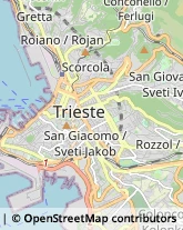 Frutta e Verdura - Dettaglio Trieste,34126Trieste