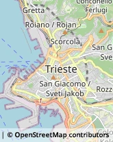 Associazioni di Volontariato e di Solidarietà Trieste,34137Trieste