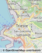 Alimentari Trieste,34143Trieste