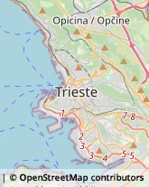 Alimentari Trieste,34137Trieste