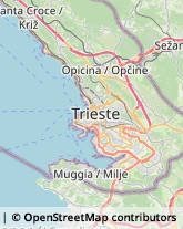 Ambulatori e Consultori Trieste,34137Trieste