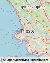 Ambulatori e Consultori Trieste,34148Trieste