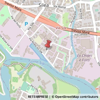 Mappa Via delle Industrie, 14, 31057 Silea, Treviso (Veneto)