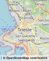 Asili Nido Trieste,34138Trieste