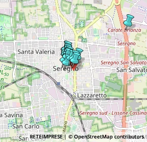 Mappa Viale dei Giardini, 20813 Seregno MB, Italia (0.385)