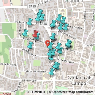 Mappa Via Antonio Gramsci, 21010 Cardano Al Campo VA, Italia (0.20667)