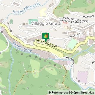 Mappa Via Monsuello, 255, 25065 Lumezzane, Brescia (Lombardia)