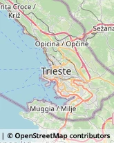 Comuni e Servizi Comunali Muggia,34015Trieste