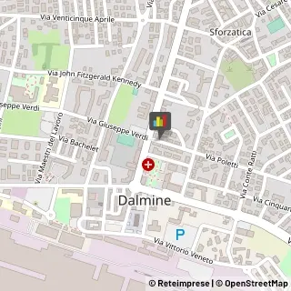 Psicologi Dalmine,24044Bergamo