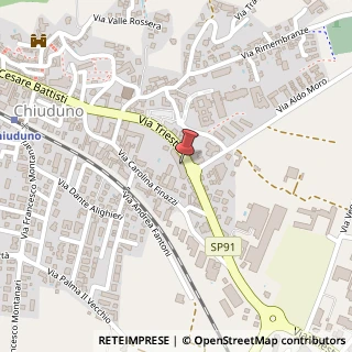 Mappa Via Trieste, 8, 24060 Chiuduno, Bergamo (Lombardia)