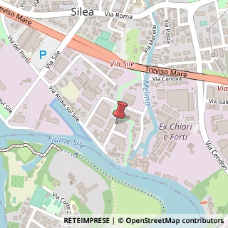 Mappa Via Alzaia sul Sile, 22/i, 31057 Silea, Treviso (Veneto)