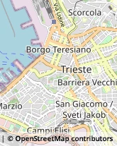 Frutta e Verdura - Dettaglio Trieste,34121Trieste