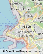 Frutta e Verdura - Dettaglio Trieste,34144Trieste