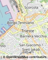 Studi Medici Generici Trieste,34121Trieste