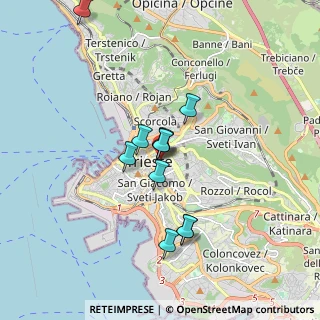 Mappa Università degli Studi di Trieste, 34129 Trieste TS, Italia (1.41545)