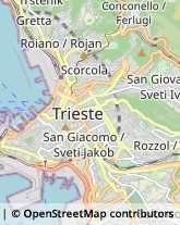 Psichiatria e Neurologia - Medici Specialisti Trieste,34137Trieste