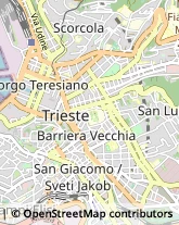 Psichiatria e Neurologia - Medici Specialisti Trieste,34137Trieste