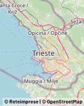 Traduttori ed Interpreti Trieste,34123Trieste