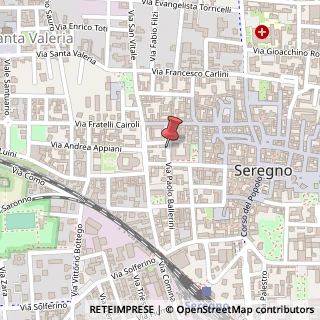 Mappa Via Ballerini Patriarca, 20, 20831 Seregno, Monza e Brianza (Lombardia)