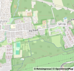 Mappa Via Cappelletta, 20815 Cogliate MB, Italia (0.28462)