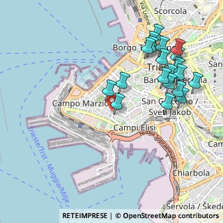Mappa Via Carlo Combi, 34123 Trieste TS, Italia (1.1235)
