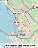 Case di Riposo e Istituti di Ricovero per Anziani Muggia,34015Trieste