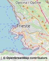 Case di Riposo e Istituti di Ricovero per Anziani Trieste,34145Trieste