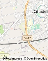 Autotrasporti Cittadella,35019Padova