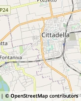 Autotrasporti Cittadella,35013Padova