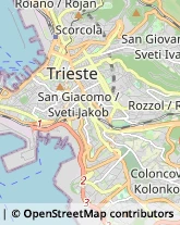 Alimentari Trieste,34139Trieste