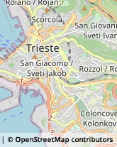 Imprese di Pulizia Trieste,34137Trieste